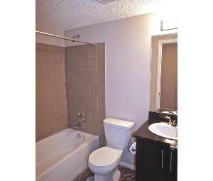 2 Bed 2 Bath 2 Parking South West Edmonton Condo WOW! - Photo 6