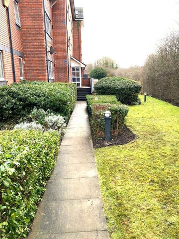 3 bedroom apartment to rent - Photo 4