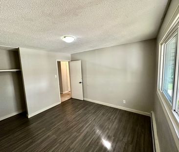 Bright and Updated 2 Bedroom Apartments - Photo 1