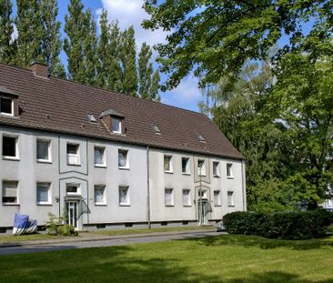 Gemütliche 2-Zimmer-Wohnung in ruhiger Lage - Foto 1