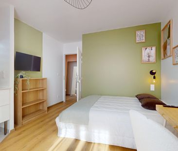 ALBERT 1ER BELGIQUE Colocation 3 chambres à Grenoble - Photo 5