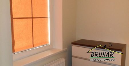 Opole, Centrum Mieszkanie na wynajem - Photo 2