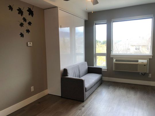 Furnished Studio near Downtown (#442) - Photo 1