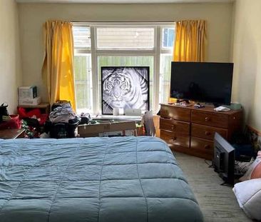 An old house with new shower, new aircon - Photo 1