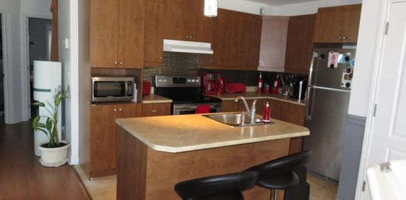 MAGNIFIQUE 4½ À LOUER À ST-RÉMI – 3e ÉTA - Photo 2