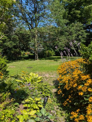 Detached Home For Lease | W9256844 - Photo 5