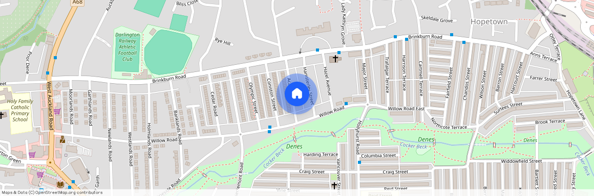 Acacia Street, Darlington, County Durham, DL3