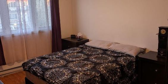 Triplex - Photo 3
