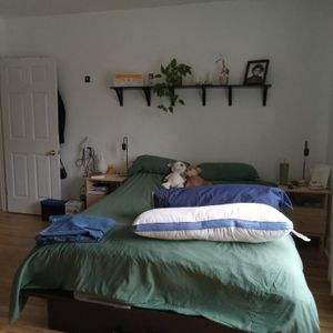 3 1/2 Près du Parc Maisonneuve et HMR - Photo 2