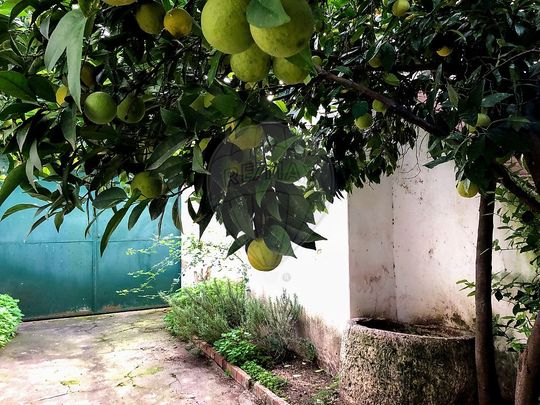 Moradia T2 em Santarém - Photo 1