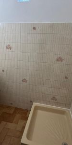 Location Appartement 1 pièce 39m² CARPENTRAS 84200 - Photo 4