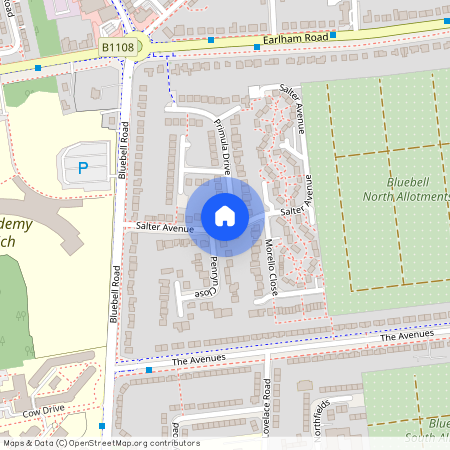 Salter Avenue, NORWICH