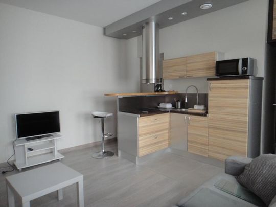 Location Appartement 1 pièce 23m² DIJON 21000 - Photo 1