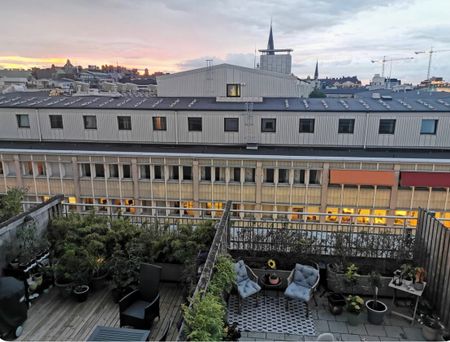 Studentgatan, Malmö - Foto 4