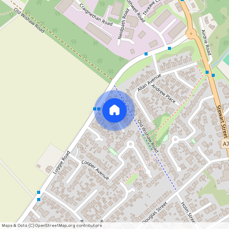 Hemmingen Court, Carluke, ML8
