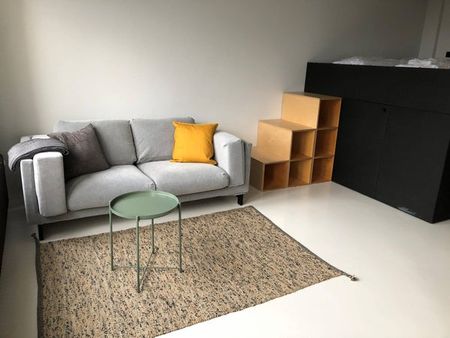 Te huur: Appartement Professor Pieter Willemsstraat in Maastricht - Photo 5