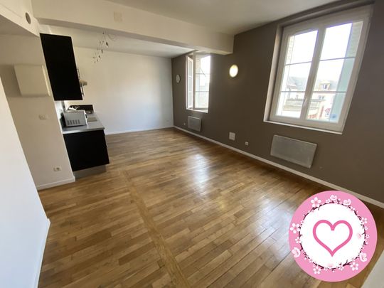 Location Appartement 2 pièces 47m² SULLY SUR LOIRE 45600 - Photo 1
