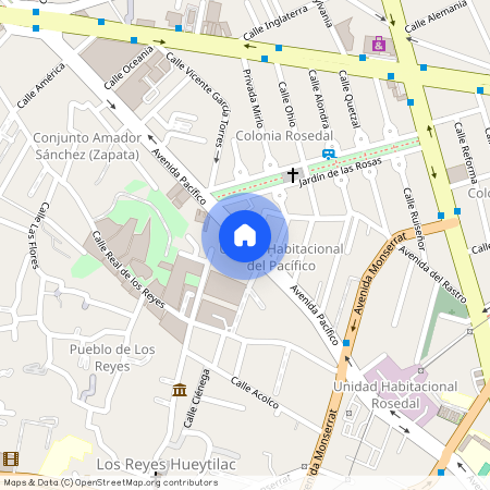 PACIFICO, Colonia Los Reyes, C.P. 04330, Df / Cdmx