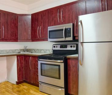 5453 Boul. St Michel - Photo 3