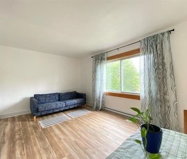 1640 Rue Millar Montréal (Saint-Laurent), QC H4L - Photo 3