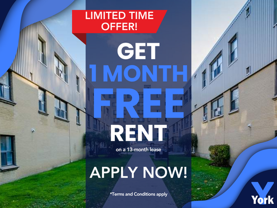 Junior One Bedroom Apartment - Photo 1