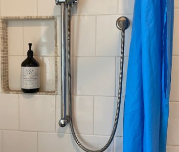 Hawthorn East - Photo 3