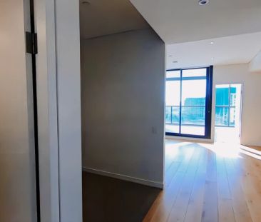 225 Pacific Hwy, Sydney - Photo 5