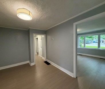 For Lease - 220 Ruggles Avenue, Richmond Hill, Ontario - Photo 6