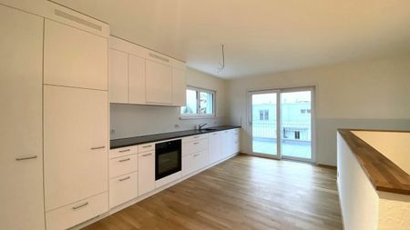 Steinlerweg, Frenkendorf - Foto 5