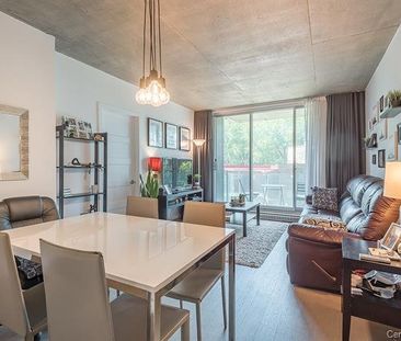 Appartement à louer, Montréal (Le Sud-Ouest) - Photo 5