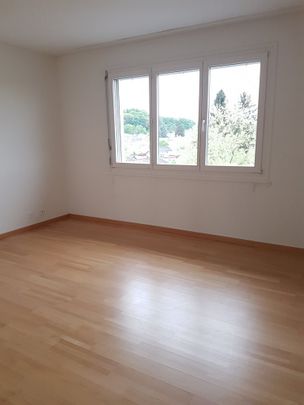 Dachterrassen und Abendsonne: so macht Wohnen Freude - Photo 1