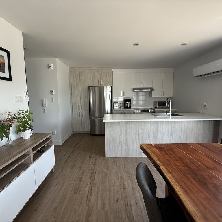 Beau Grand 3 1/2 Lumineux - Photo 1