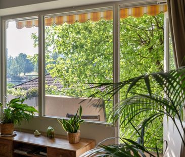 Zwischen Baumkronen und Rhein – 4.5 Zimmer auf ca. 120 m² - Photo 2