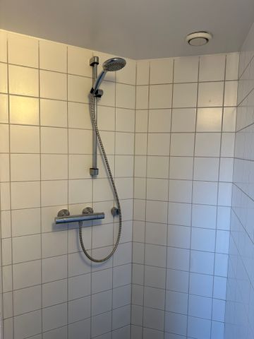 Stor og lys lejlighed i Silkeborg C - Foto 5