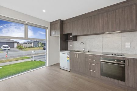 Brand new, premium 2-Bedroom Home in Belfast - Photo 4