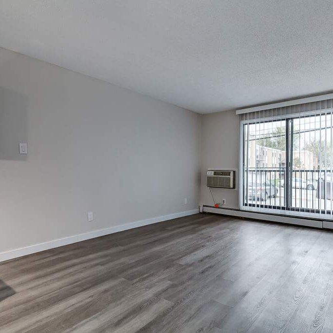 Premier Suite - 1 Bedroom - Photo 1