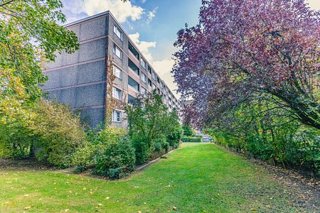 Demnächst frei! In Sanierung: 2-Zimmer-Wohnung in Laatzen - Foto 5