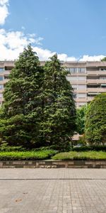 Rte de Florissant, 6 pièces au 4ème étage - Photo 4