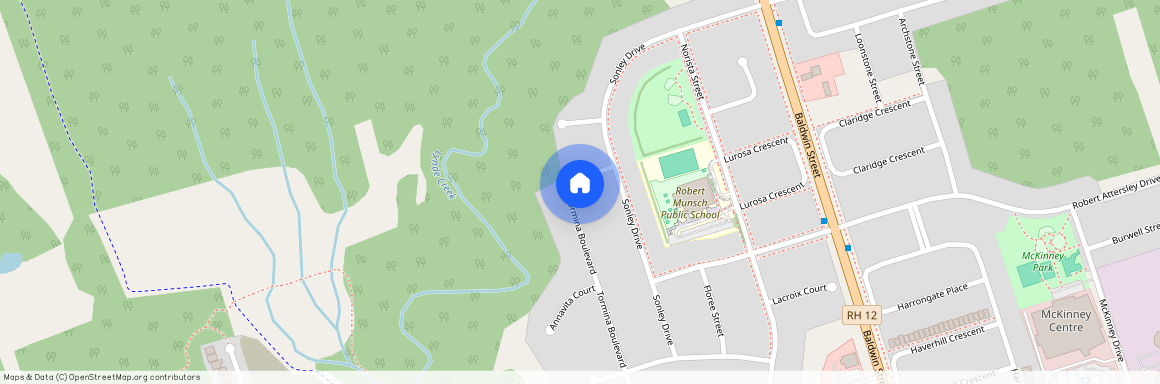 176 Tormina Boulevard #Basement, Whitby, Taunton North