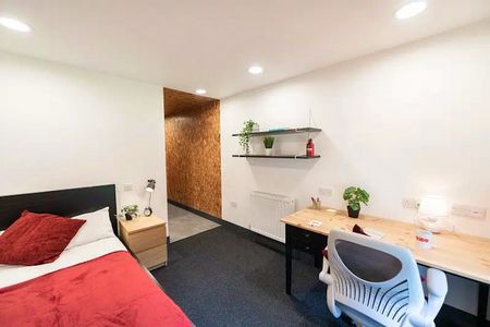 Bronze Studio Deluxe - Photo 3