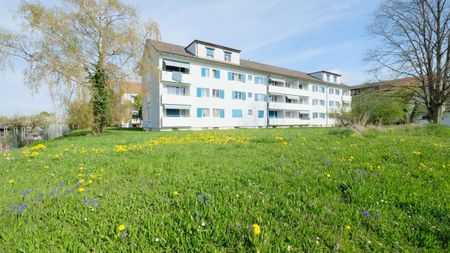 Familienwohnung im Grünen an der Stadtgrenze zu Basel - Foto 2