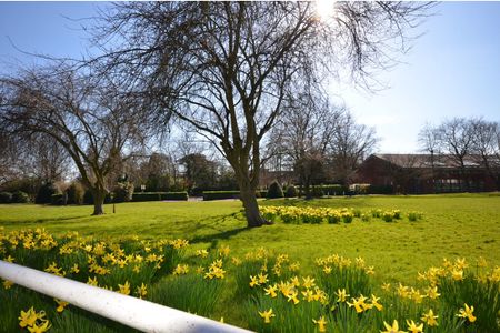 1 bedroom house to rent - Photo 5