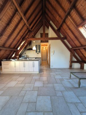 Te huur: appartement in groen Heuvelland - Foto 1