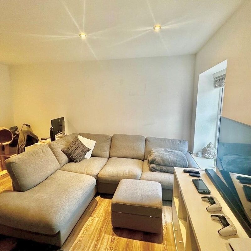 Back Dragon Parade - Photo 1