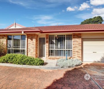 3/2 Teramby Road, Hamilton - Photo 2