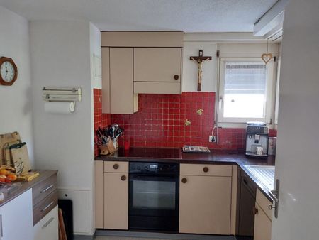 Silencieux avec emballage vert - Photo 4