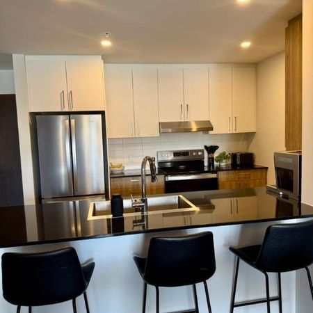 Appartement 3 1/2+ avec droit aux animaux! - Photo 3
