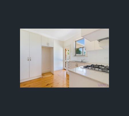 71 Olive St, Prospect, SA 5082 - Photo 5