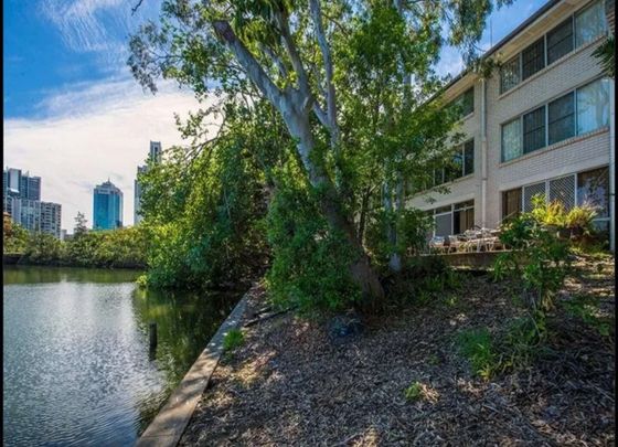 Surfers Paradise - Photo 1