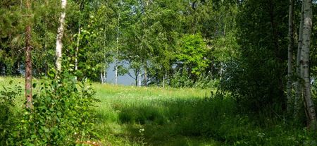 Björkgatan 8 - Foto 4